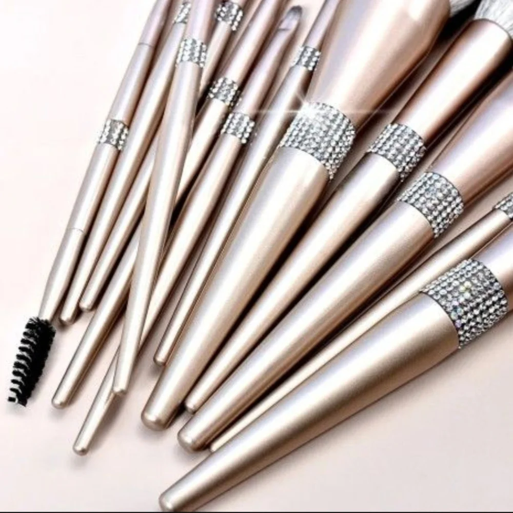 Luxurious Silver Makeup Brush Set..